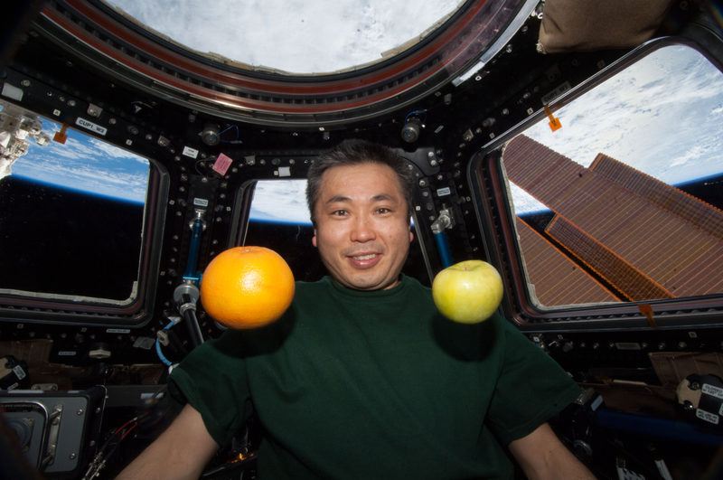Illustration for article titled NASA Suspends Cooperation with Russian Space Agency